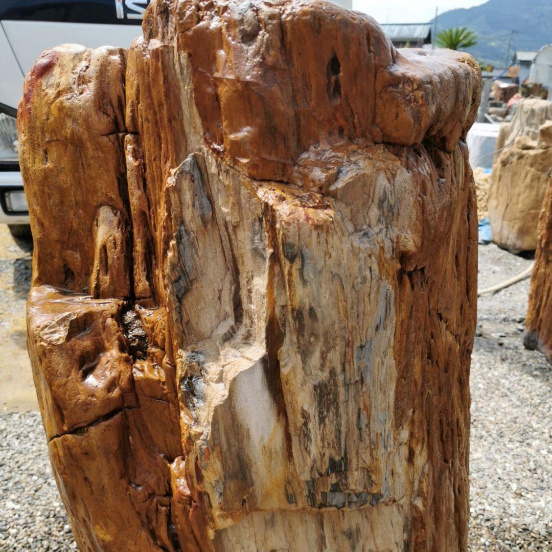 インドネシア産　珪化木　297キロ　木化石　庭石　石　鑑賞石　置物　オブジェ