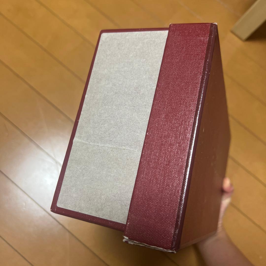 BALLY バリー JANELLE ローファー 山羊革 バックル