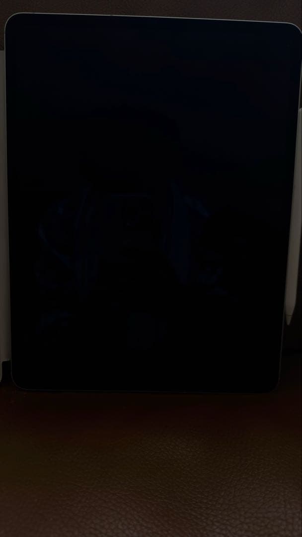 iPad Pro 12.9インチ 4Gen シルバー 256GB セルラー