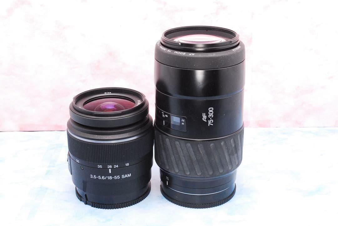 高速連写＆高画質★ソニー α65★一眼レフカメラ★超望遠レンズ付Wレンズ