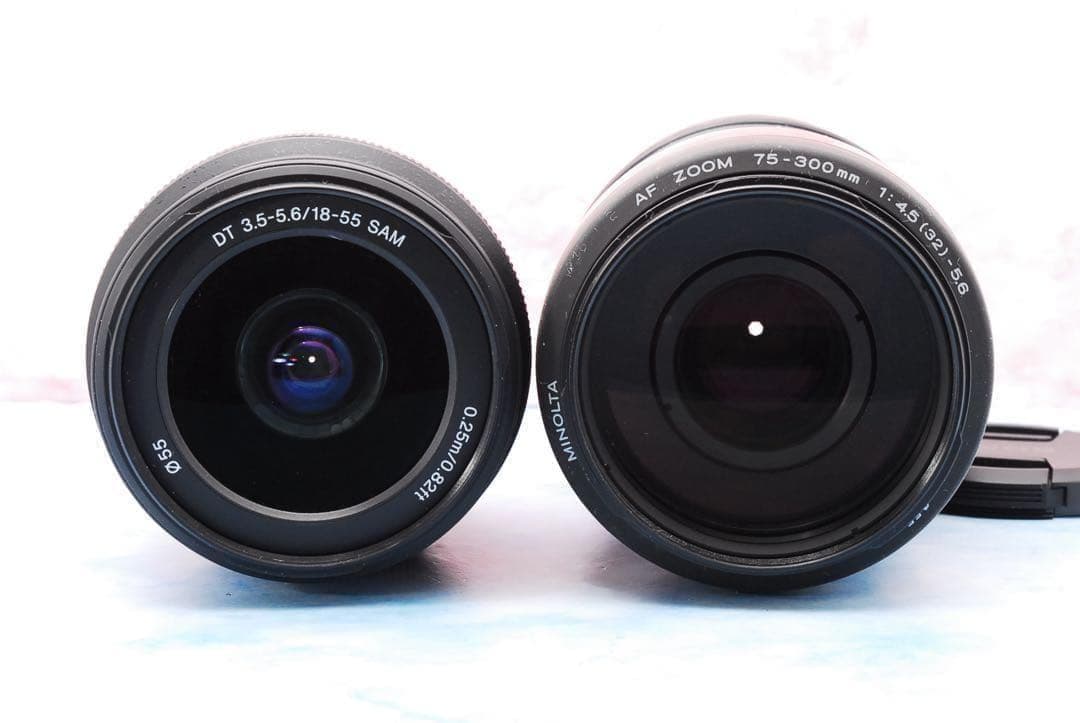 高速連写＆高画質★ソニー α65★一眼レフカメラ★超望遠レンズ付Wレンズ