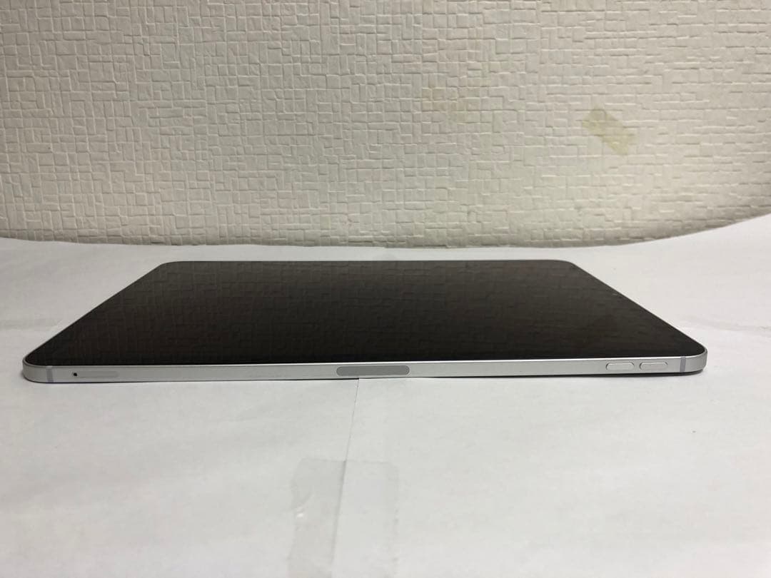 iPad Pro 11 インチ (第1世代) SIMフリー 256GB N.43