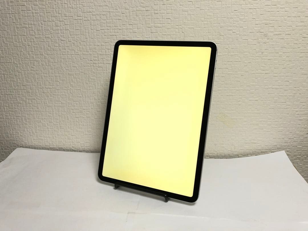 iPad Pro 11 インチ (第1世代) SIMフリー 256GB N.43