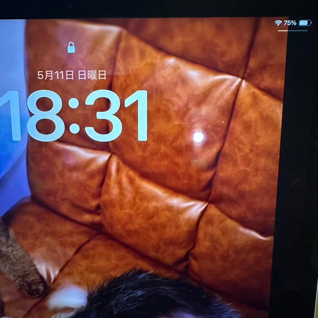 iPad Pro 12.9インチ（第5世代） 128GB Wi-Fiモデル