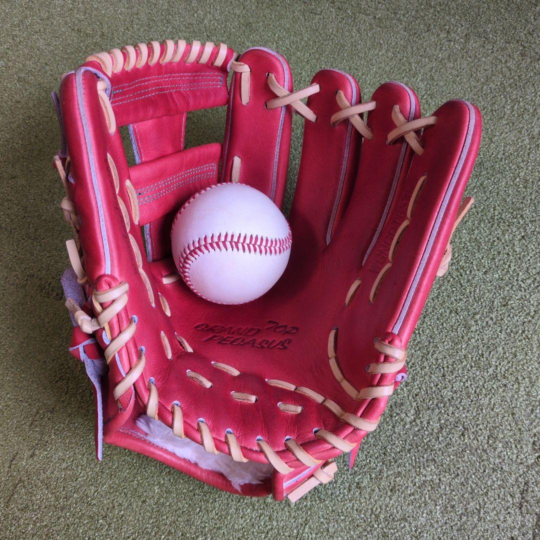 ワールドペガサス　硬式軟式兼用　WGNGPT651