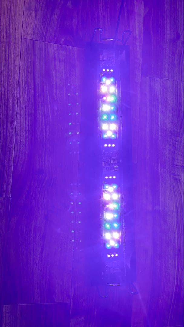 グラッシーウイング２　マリン60センチ