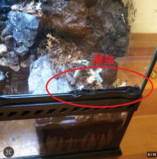 滝のあるアクアテラリウム完成品