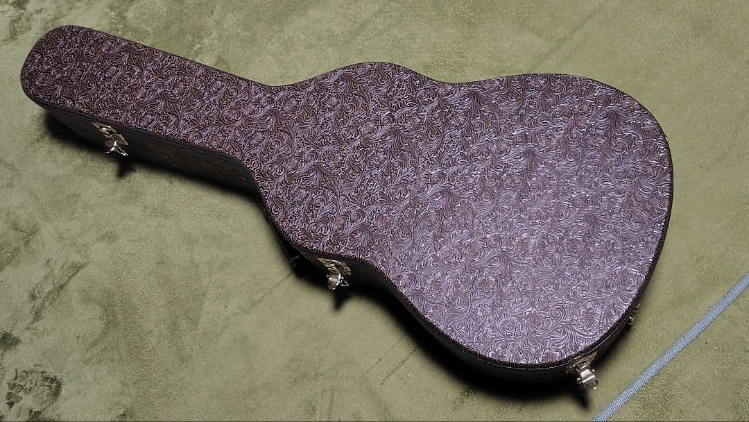 ギター LUNA GUITARS VISTA EAGLE