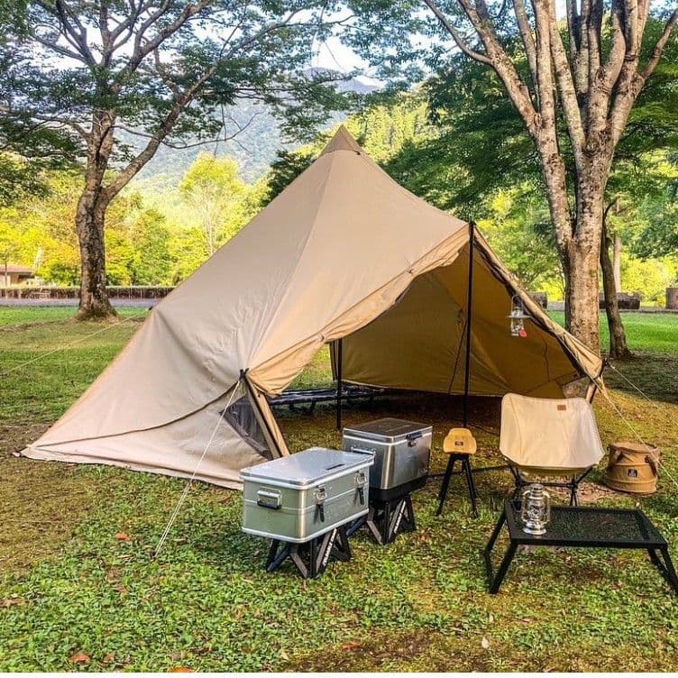 モーニンググローリーTC