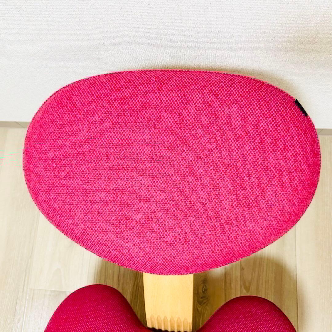 【美品】リボ Rybo バランスイージー バランスラボ　balans®︎EASY