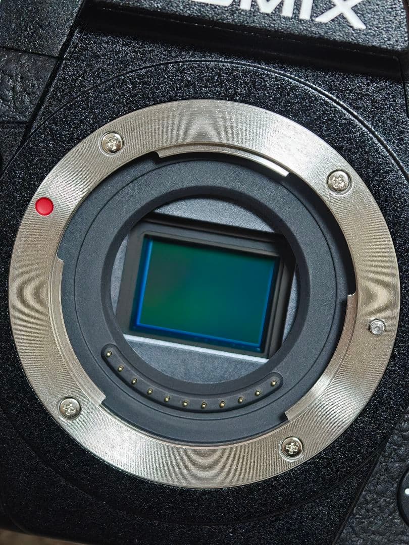 【美品】LUMIX DC-G9 (レンズキット)