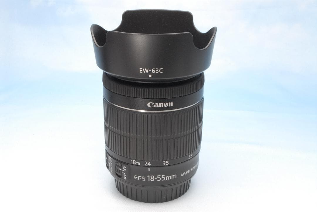 ✨初・中級者向け✨キヤノン EOS 8000D Wi-Fi 手振れ補正 高コスパ