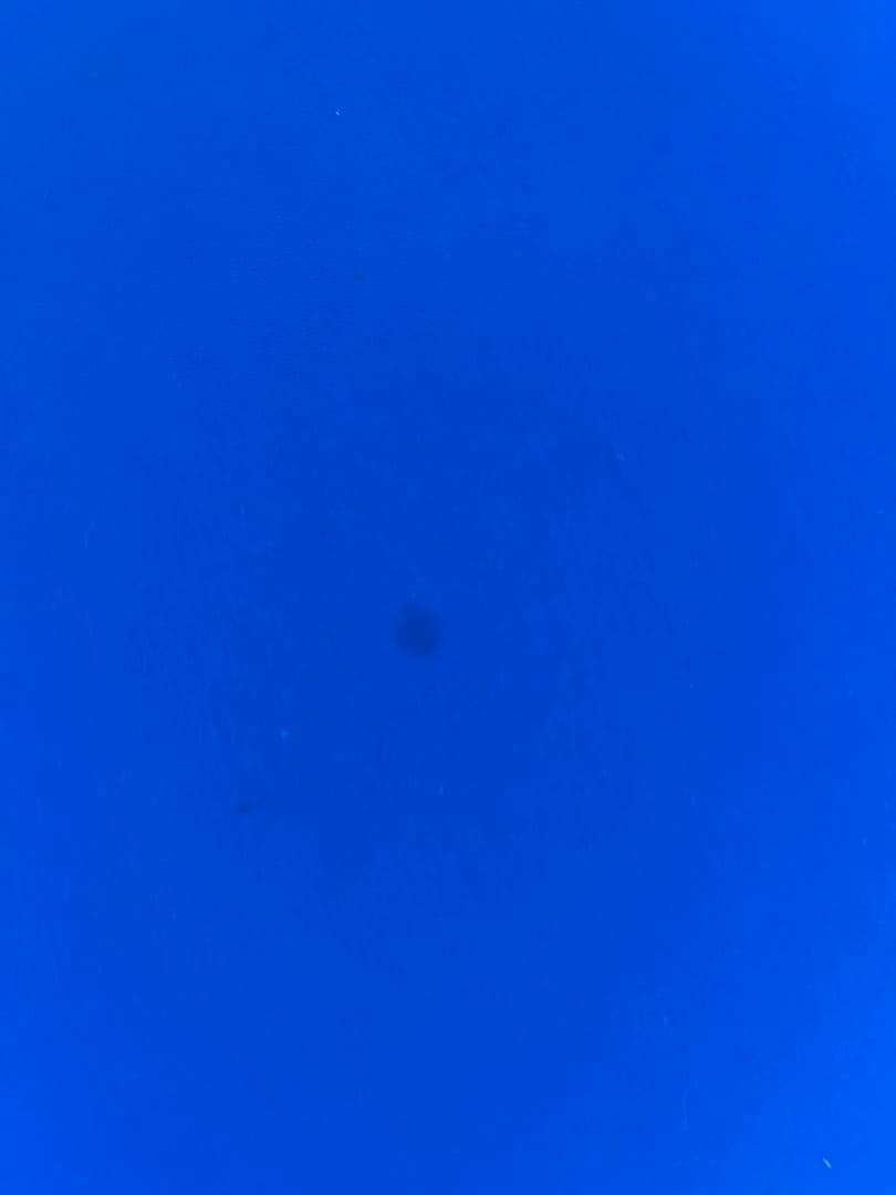 Yogibo Mini（ ヨギボー ミニ ）アクアブルー