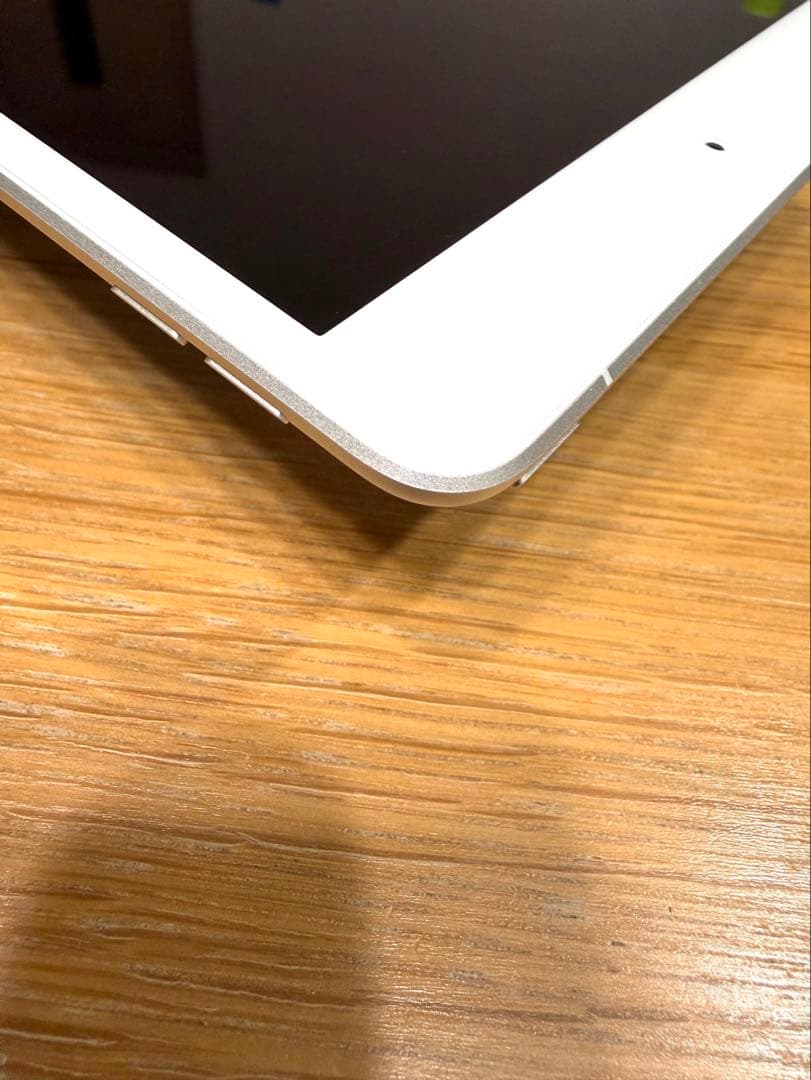 iPad mini 第5世代 Wi-Fi+Cellular 256GB シルバー