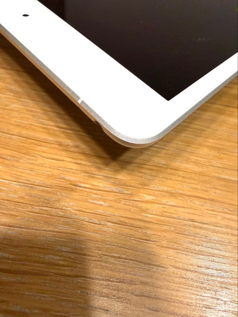 iPad mini 第5世代 Wi-Fi+Cellular 256GB シルバー