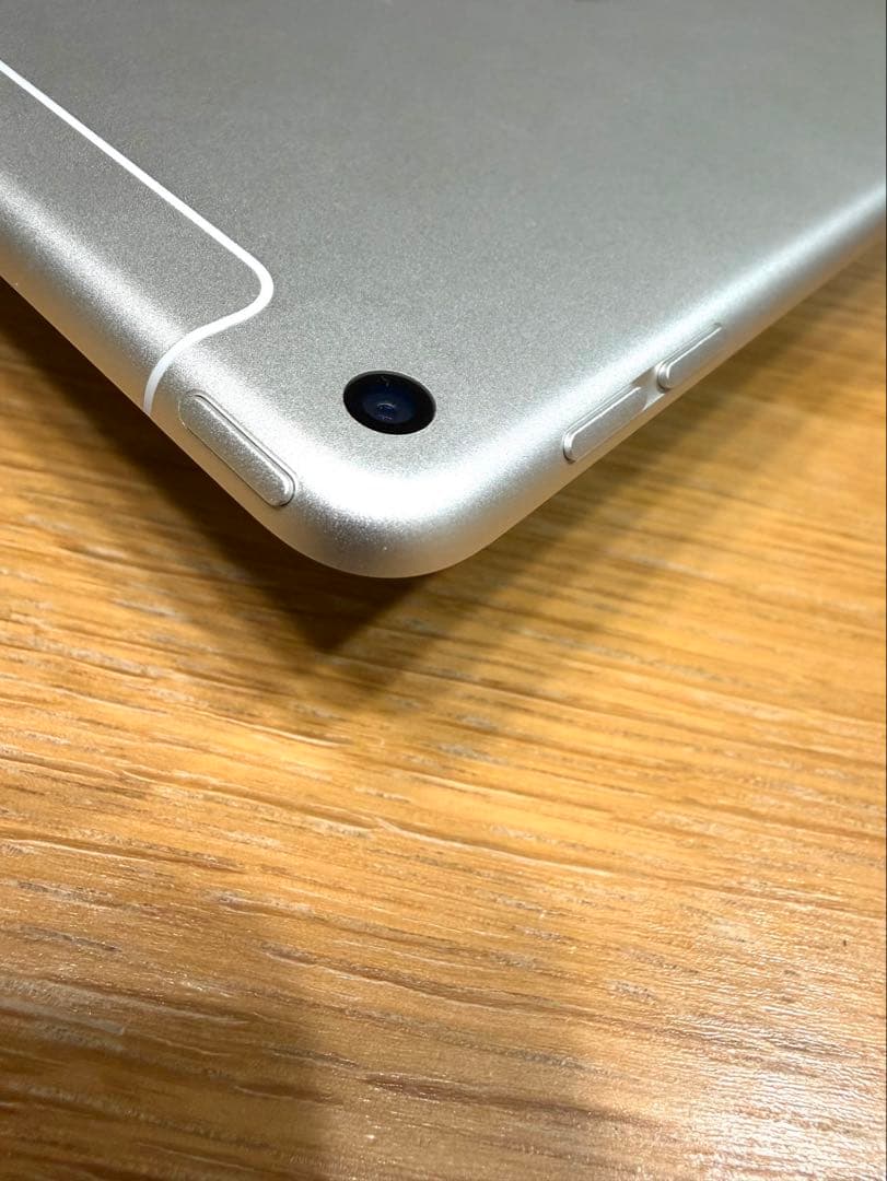 iPad mini 第5世代 Wi-Fi+Cellular 256GB シルバー