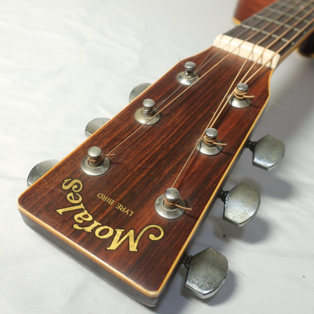 Morales LYRE BIRD M-18 アコースティックギターZEN-ON