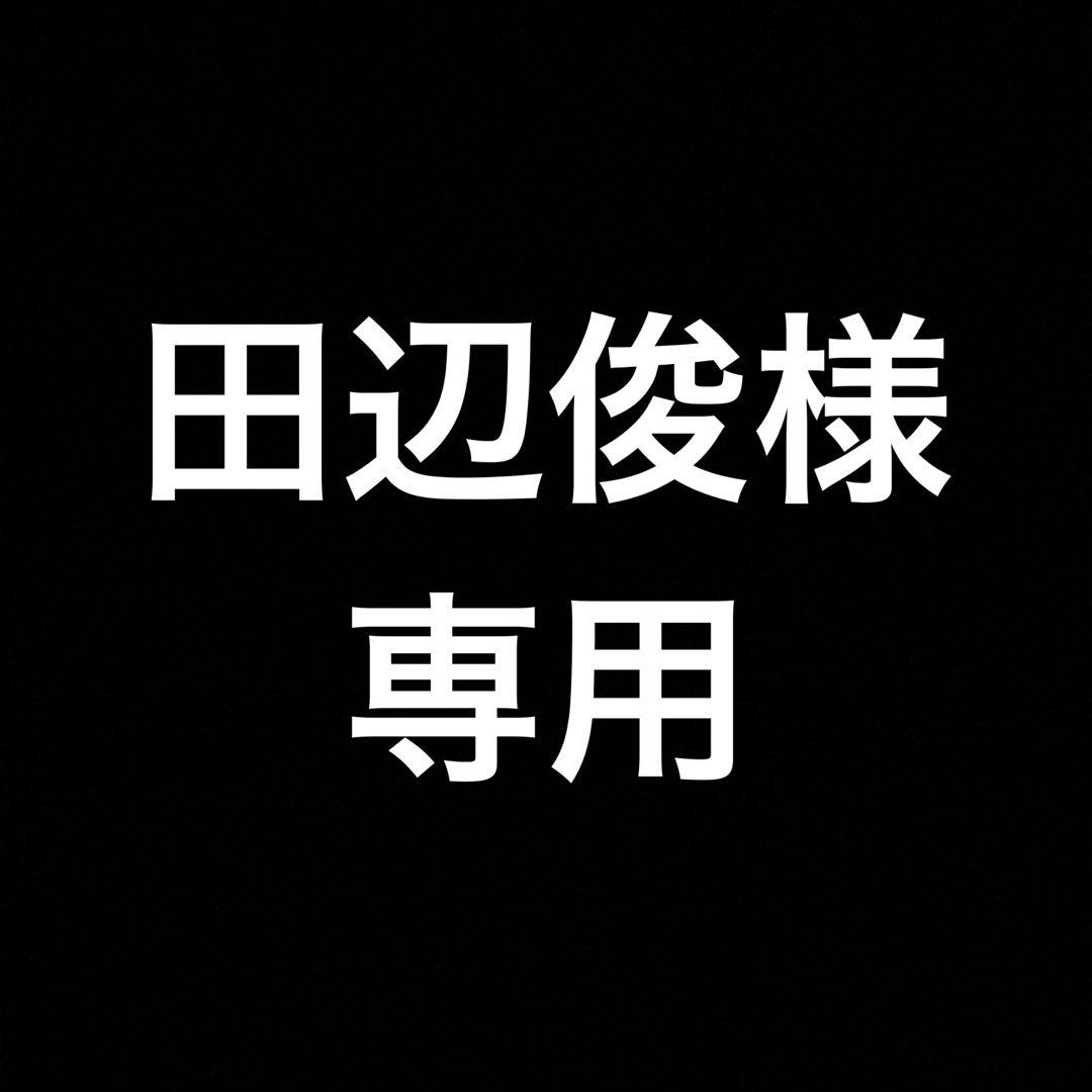 田辺俊