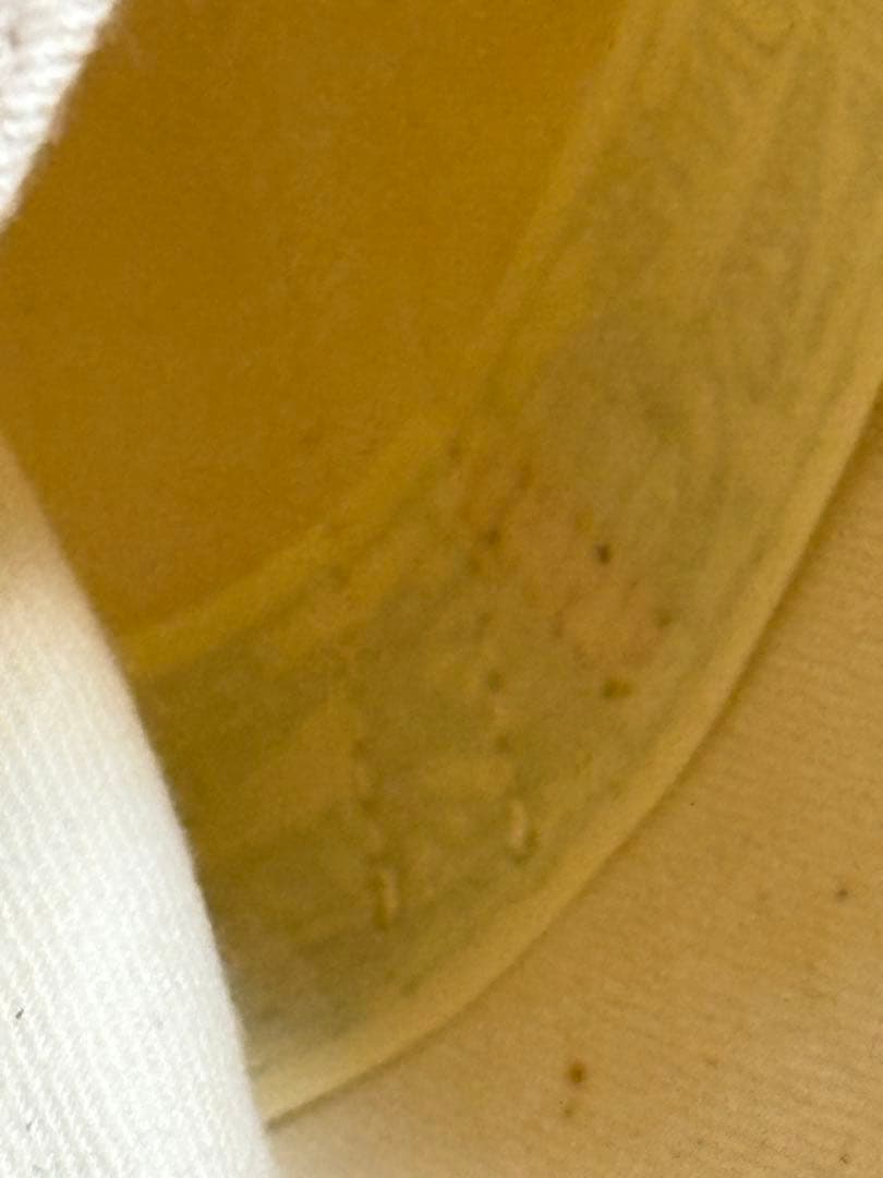 Carhartt オーバーオール プリントタグ　山ポケット デッドストック