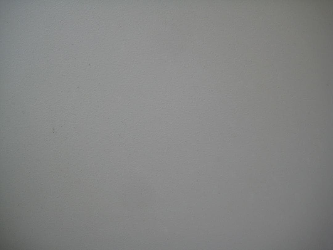 【スマホ転送OK】キャノン Canon IXY DIGITAL 10