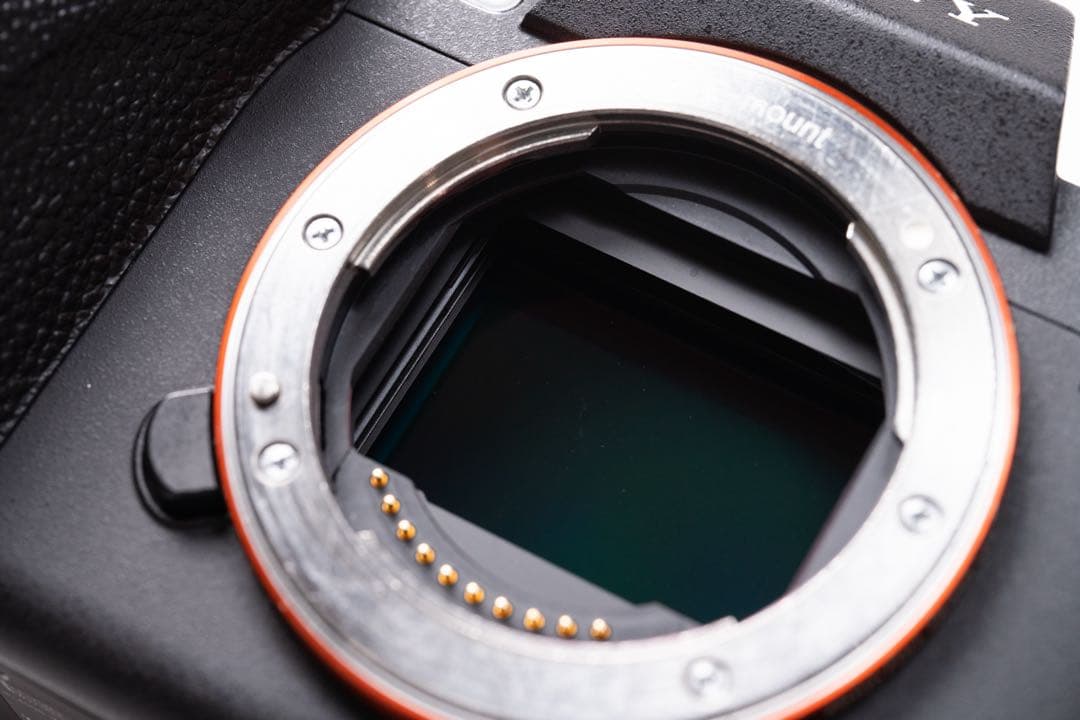 SONY α7siii ミラーレス一眼カメラ