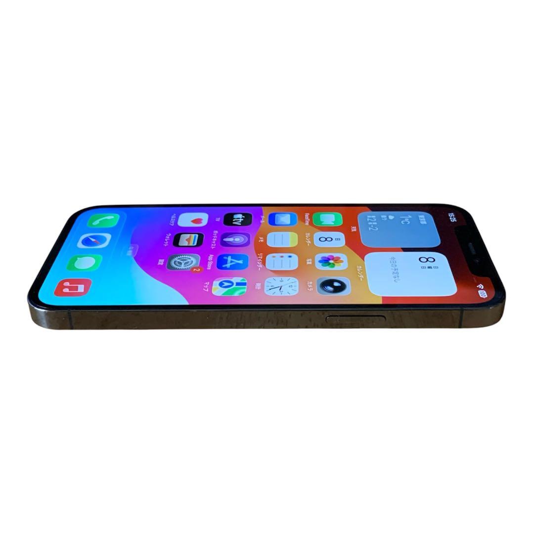 iPhone 12 Pro グラファイト 256GB SIMフリー BT100%