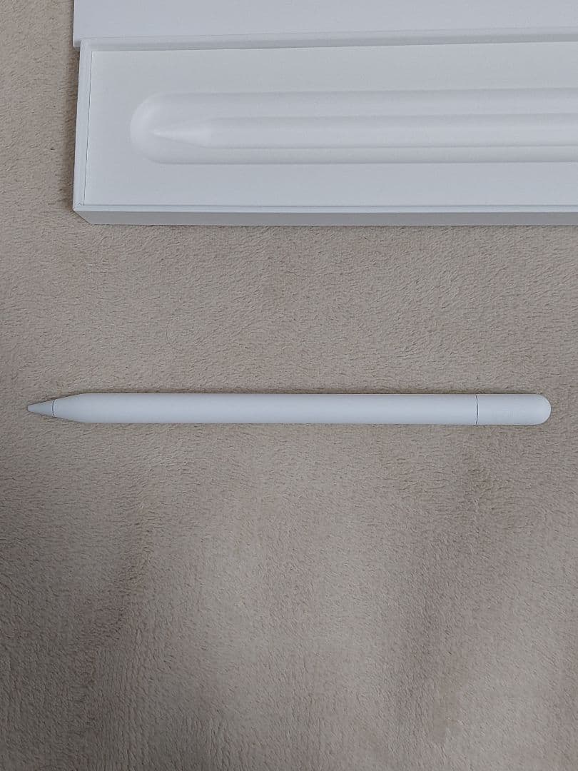 Apple Pencil Type-C iPad アップルペンシル USBC