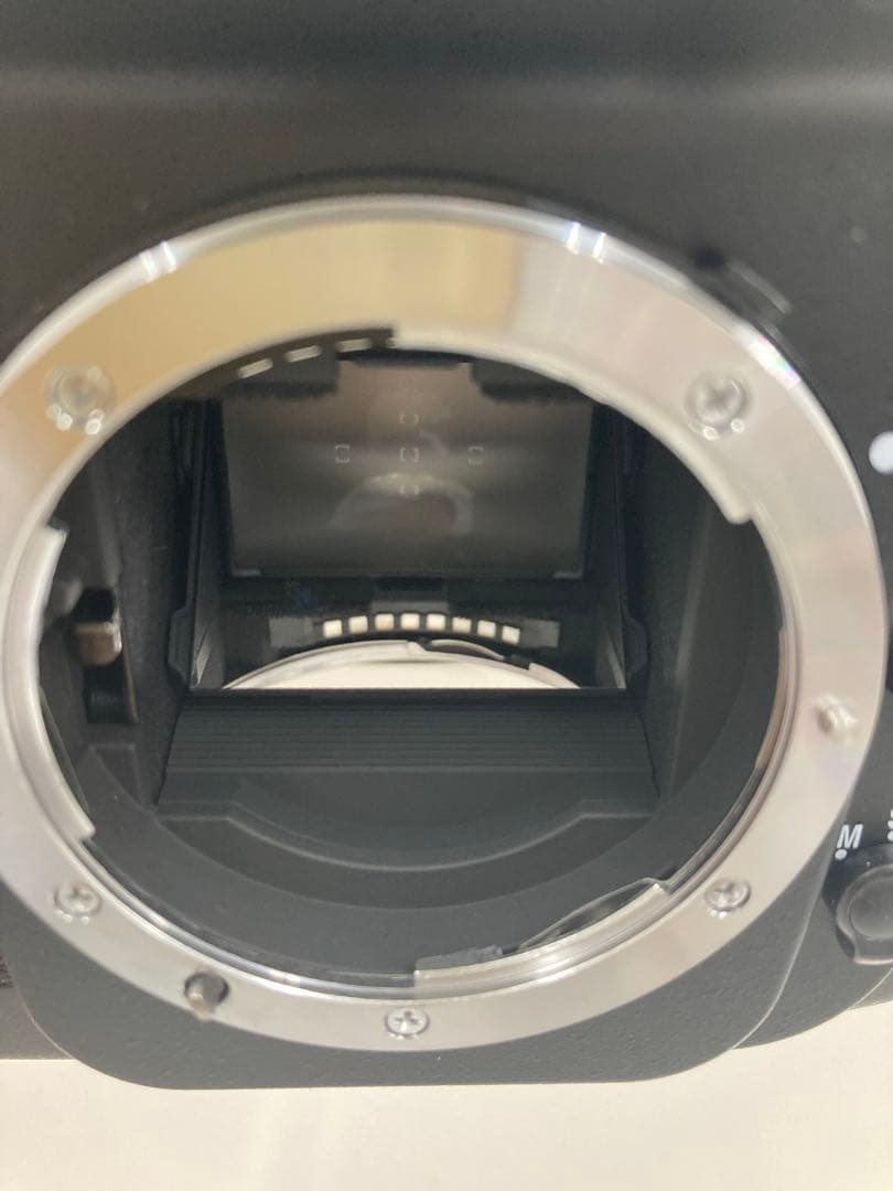 Nikon F100 カメラ