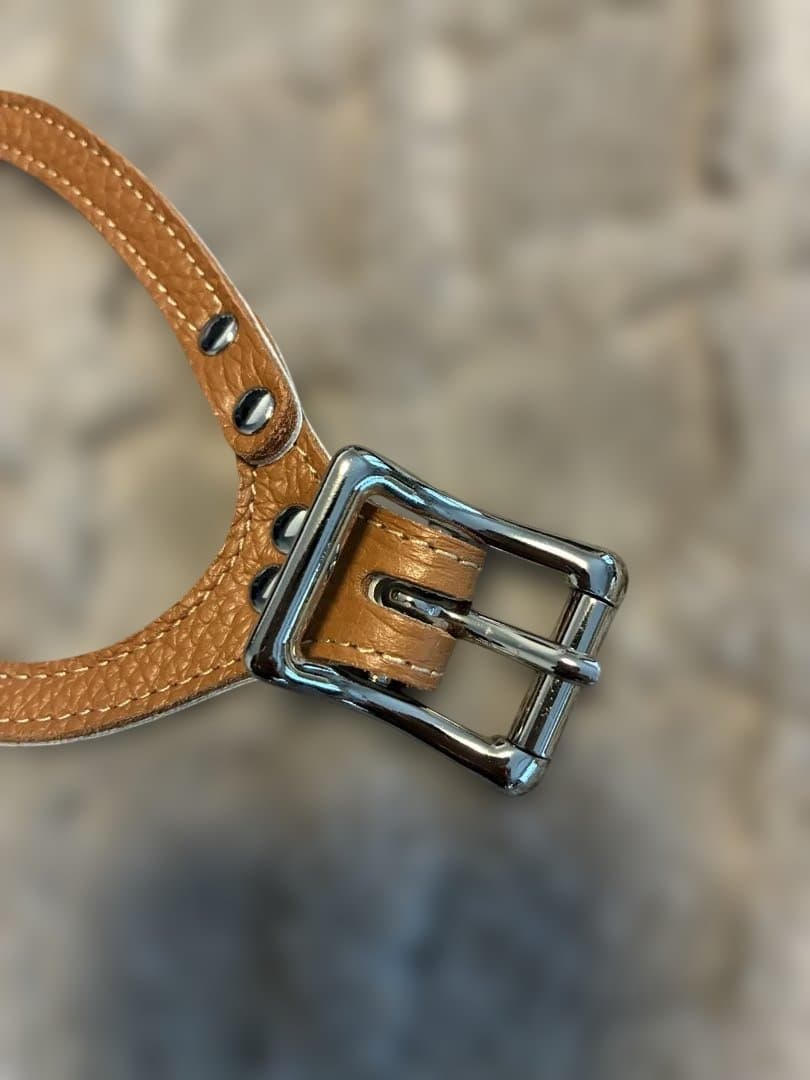 【正規品】Buddy Belts バディベルト 4号 キャラメル 犬用ハーネス