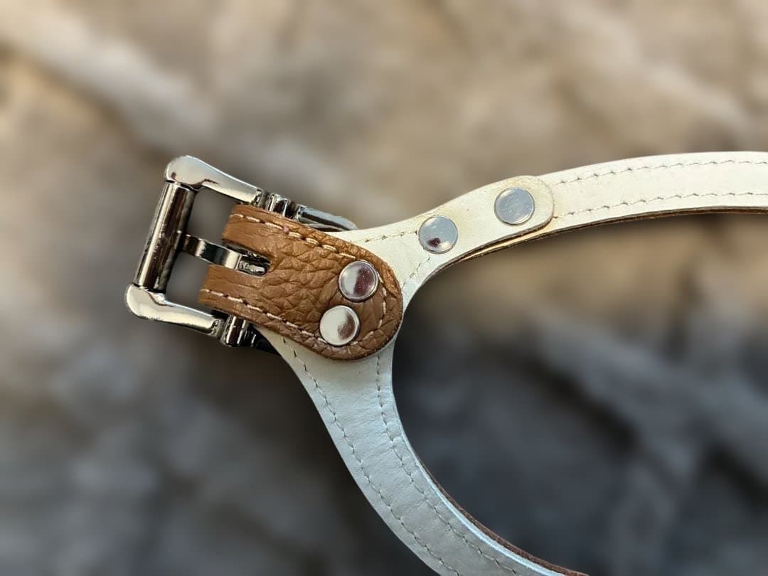 【正規品】Buddy Belts バディベルト 4号 キャラメル 犬用ハーネス