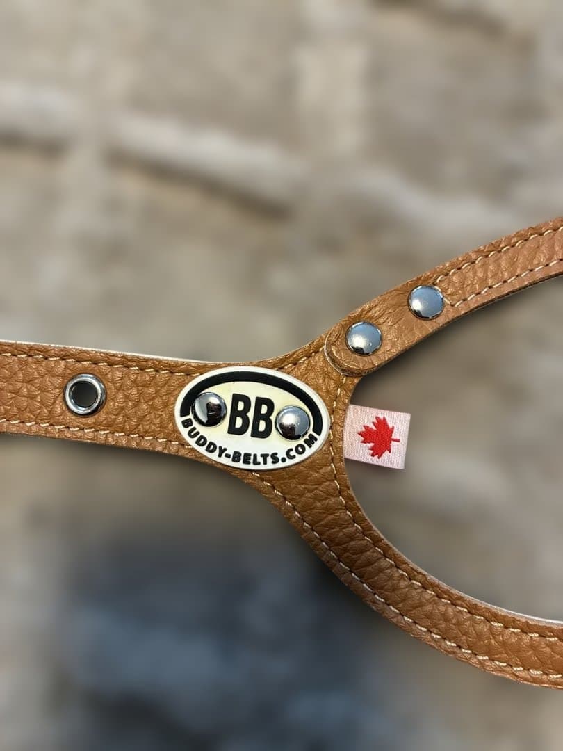 【正規品】Buddy Belts バディベルト 4号 キャラメル 犬用ハーネス
