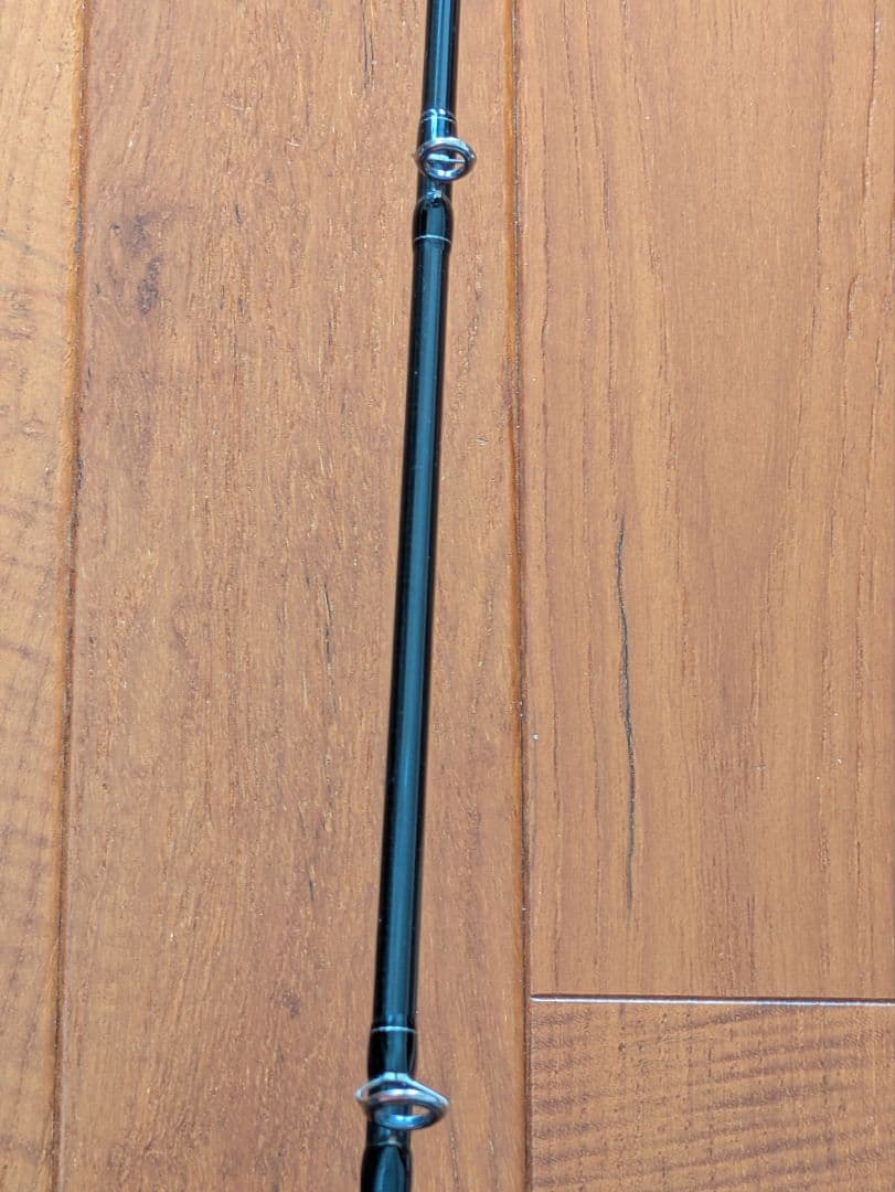 ダイワ　スロージギングロッド　19ソルティガ　SJ 61B-5