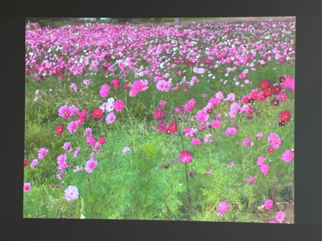 【中古美品】EPSON プロジェクター EB-S18 ランプ点灯26時間