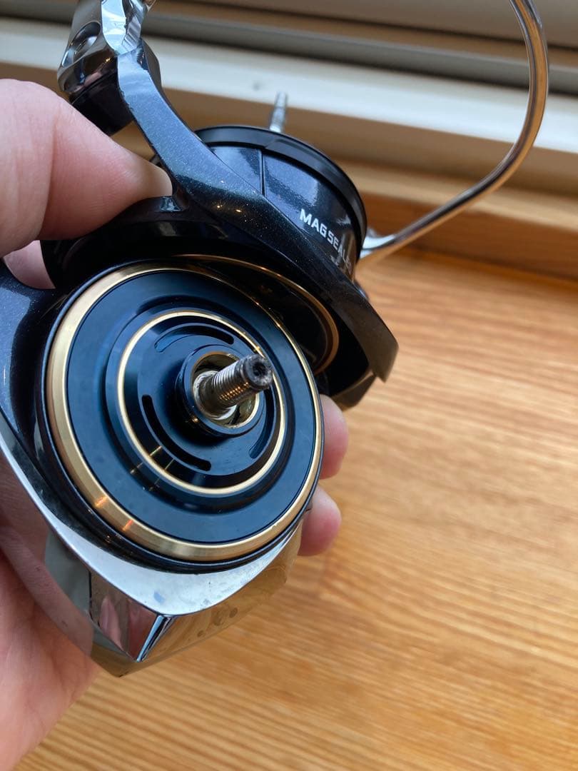 SALTIGA 8000P リール