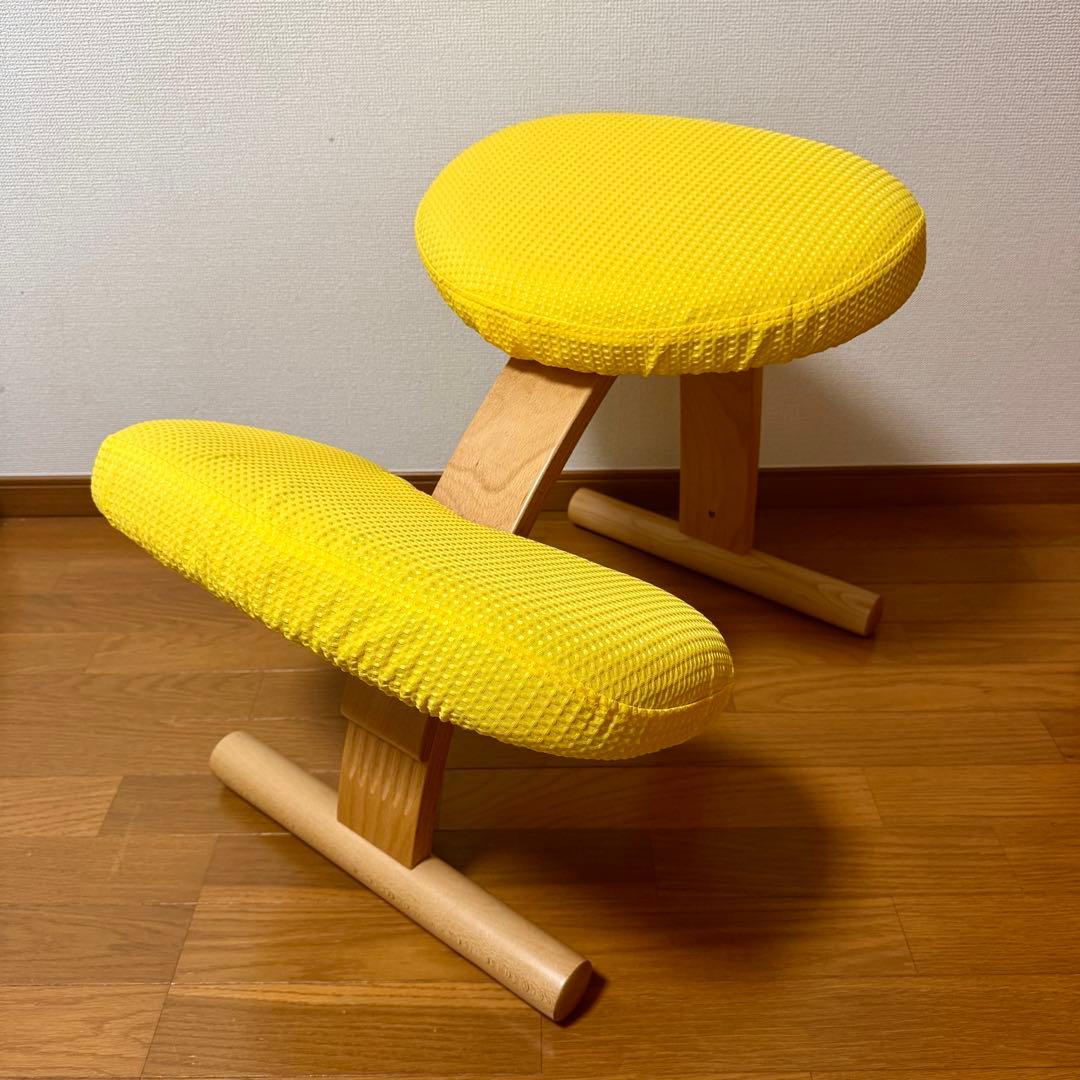 【美品】バランスイージー Rybo リボ社 バランスチェア 姿勢改善 カバー付き