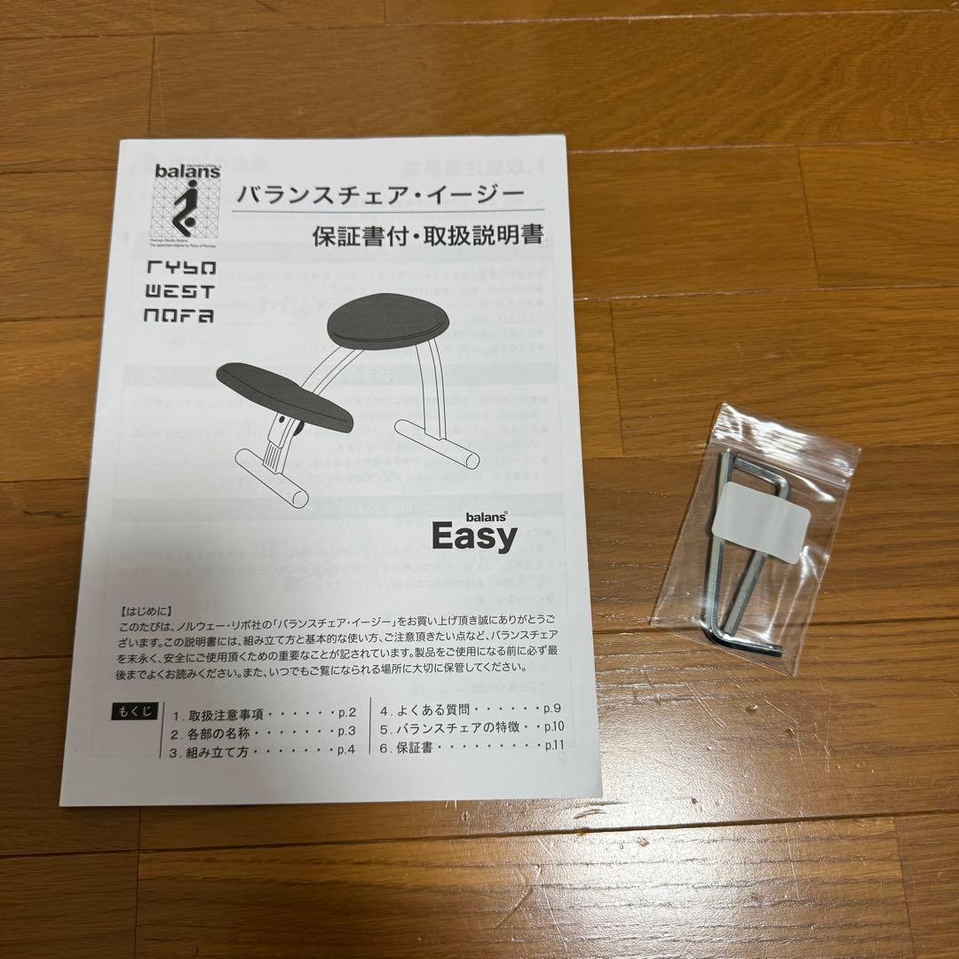 【美品】バランスイージー Rybo リボ社 バランスチェア 姿勢改善 カバー付き