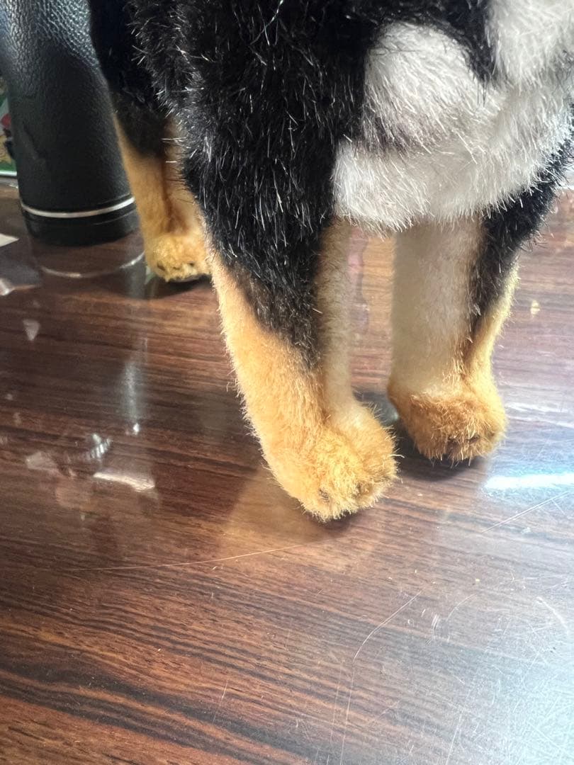 KOSEN芝犬