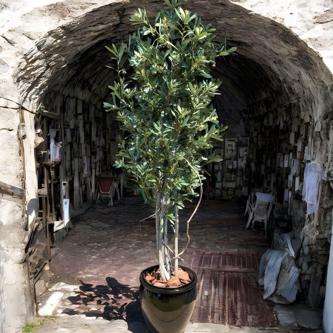 光触媒　人工観葉植物　ウォールグリーン　フェイクグリーン　オリーブtja