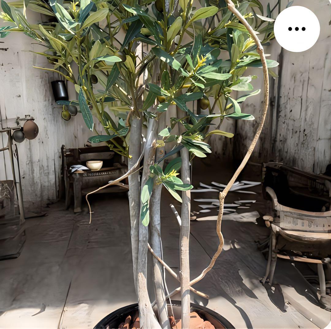 光触媒　人工観葉植物　ウォールグリーン　フェイクグリーン　オリーブtja