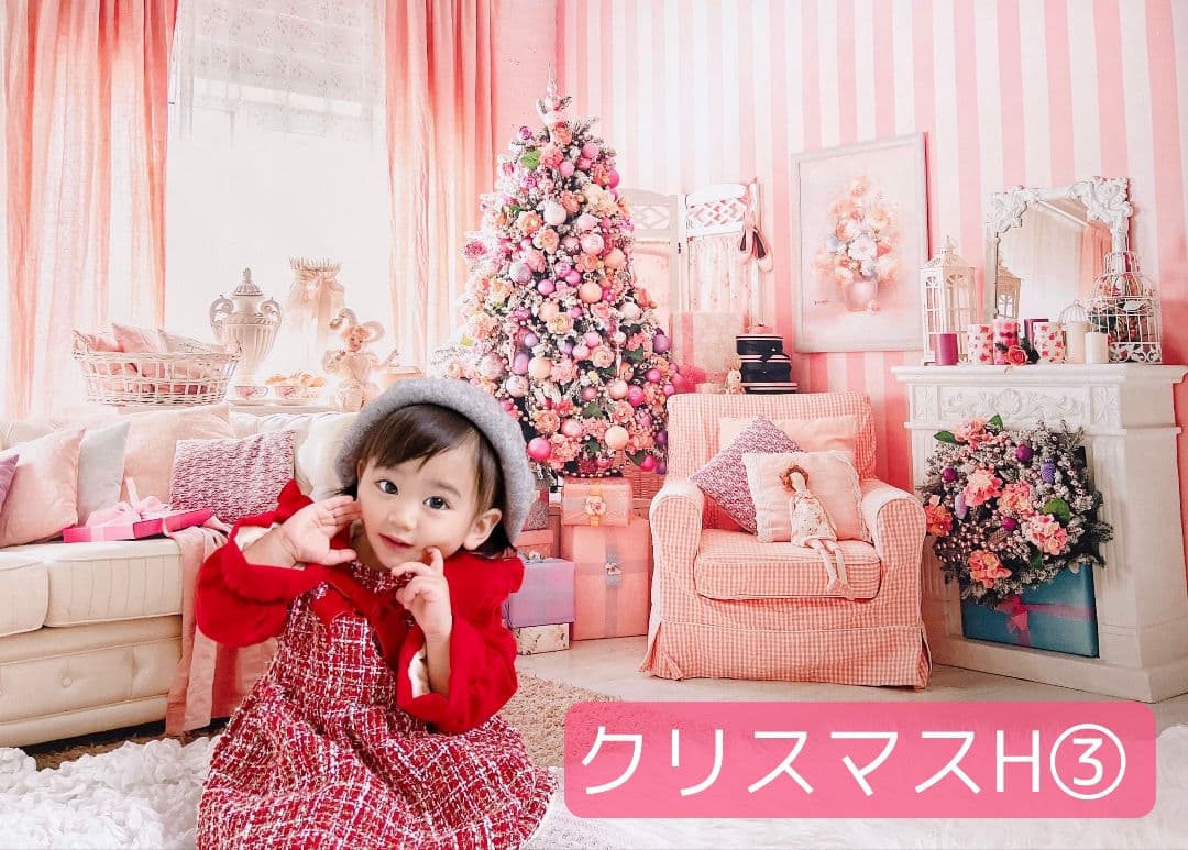 背景布　秋XD③　ペット撮影用フォトブース　ハロウィントリミングチョーカー販売中