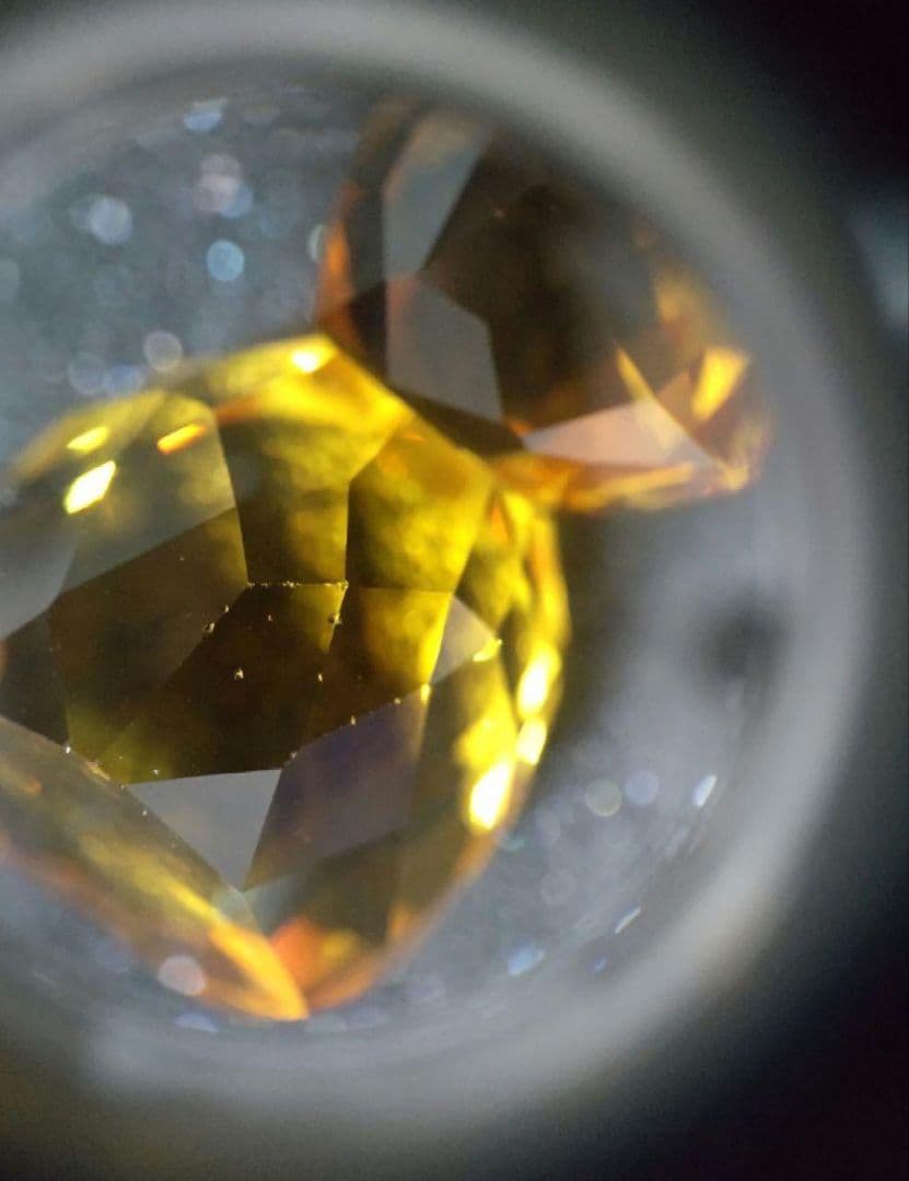 Swarovski　リス　置き物　ペア　フィギュリン　クリスタル