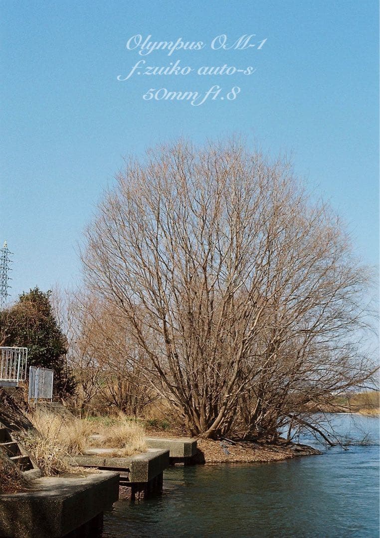 完動品＊初期保証！★オリンパスOM-1★フルセット★フィルム入門に★実写作例多数