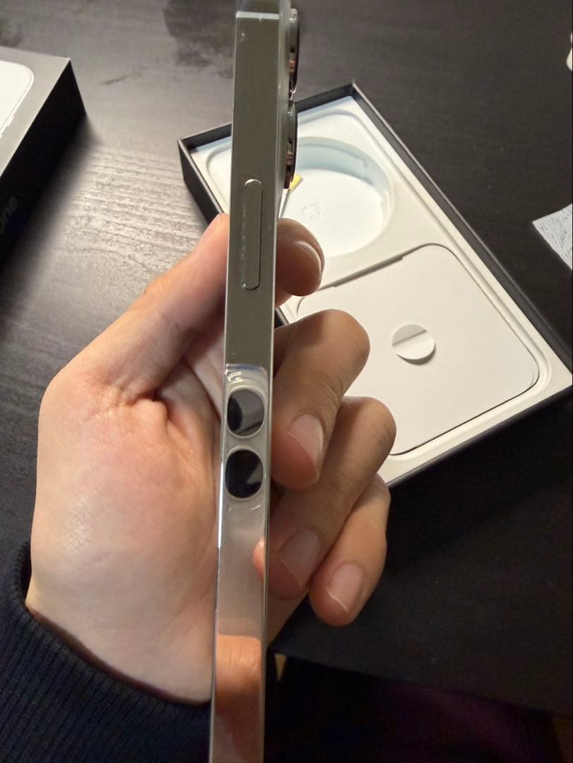 Apple iPhone 13 Pro シルバー 256 本体