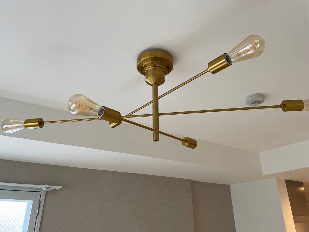 Astre unico別注カラー シーリングライト ウニコ