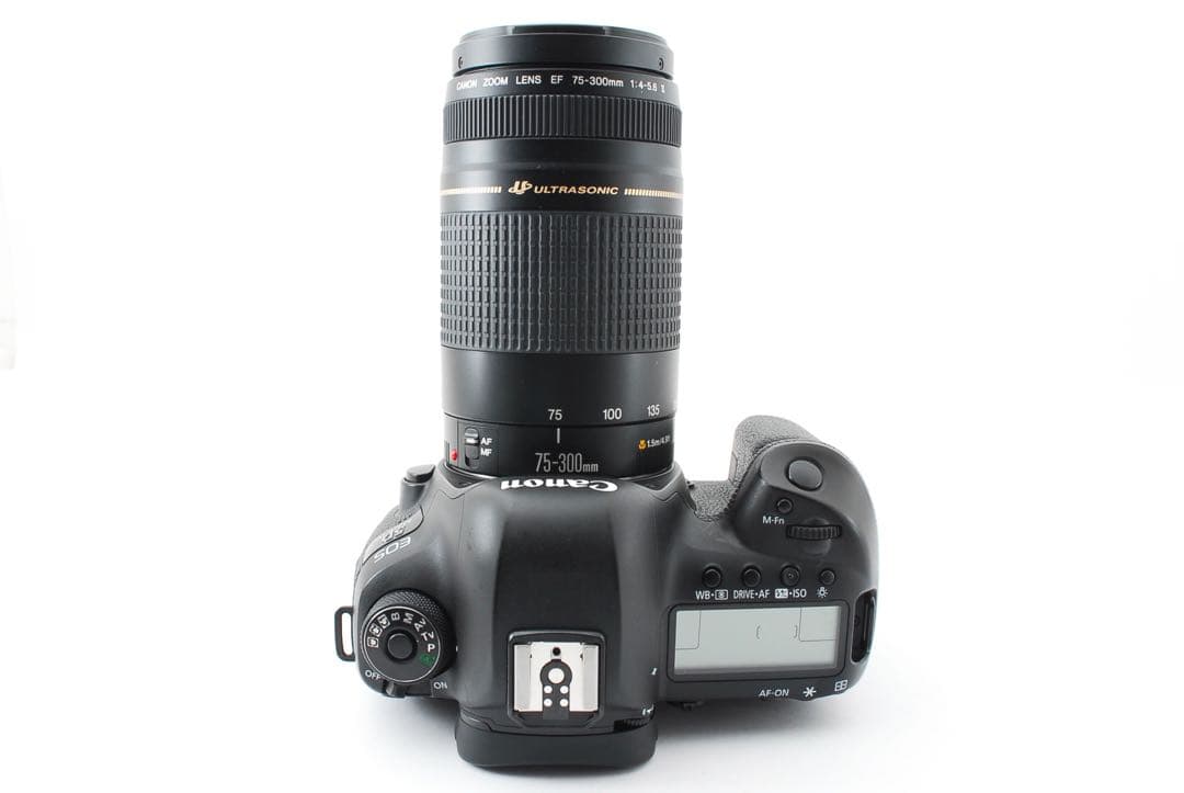 ☆保証付きCanon EOS 5D Mark IV標準&望遠&単焦点レンズセット