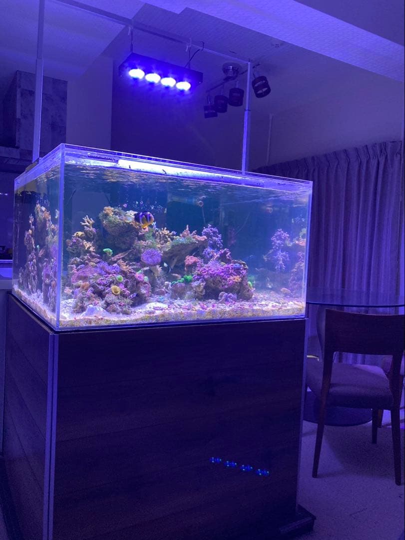 アクリル 大型 水槽 水槽セット 900×900×500 海水魚 珊瑚 飼育