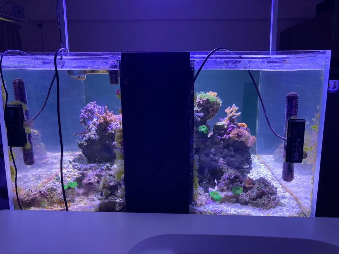 アクリル 大型 水槽 水槽セット 900×900×500 海水魚 珊瑚 飼育