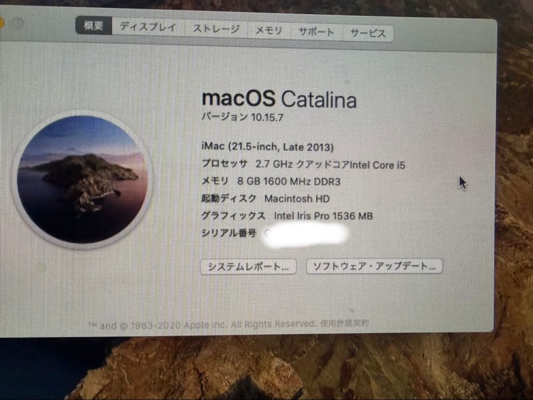 Macデスクトップ Apple iMac 21.5 Late 2013 1TB