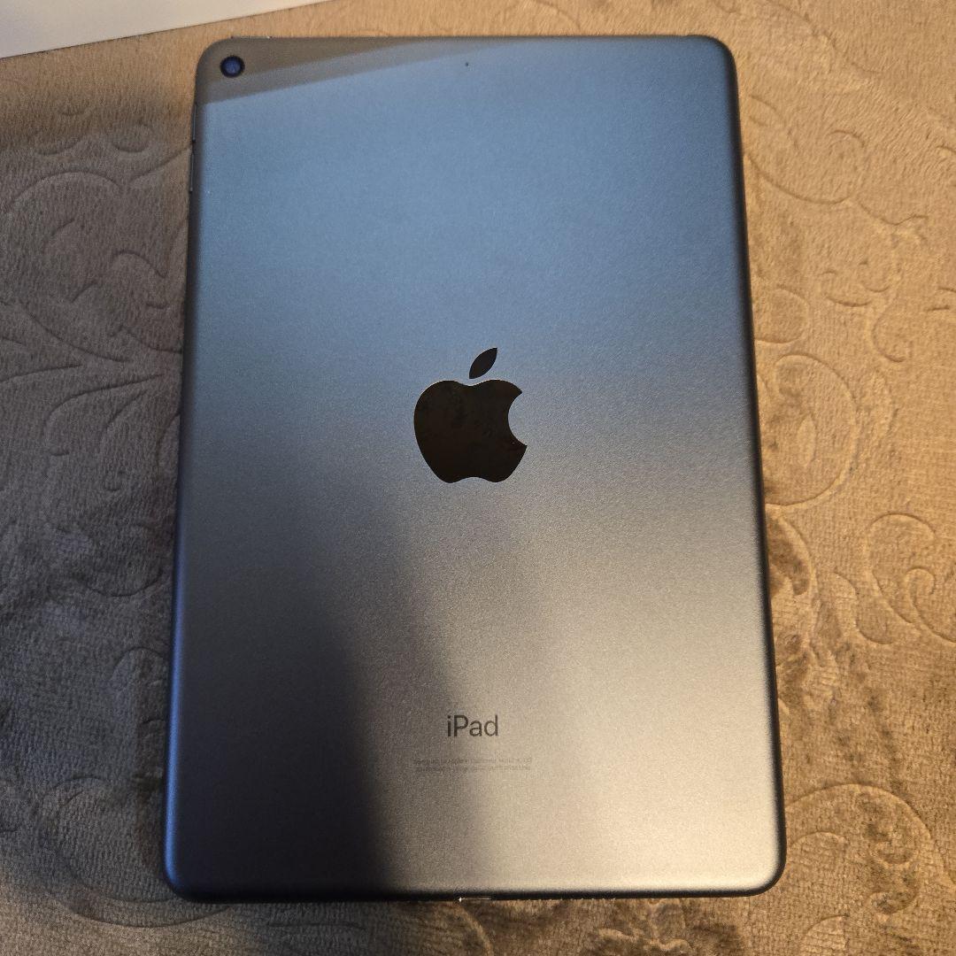 Apple iPad mini シルバー 本体第5世代　256G Wi-Fi