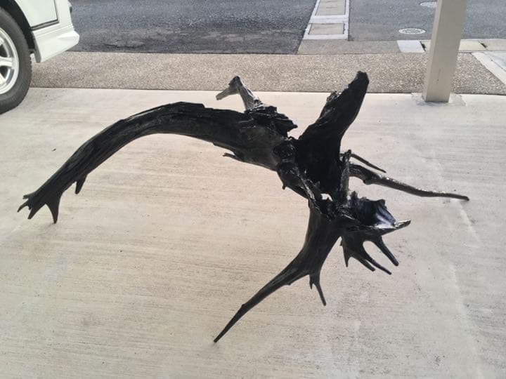 流木　漆塗り　1点もの　横幅1.014㎜　高さ1.027㎜　奥行900㎜